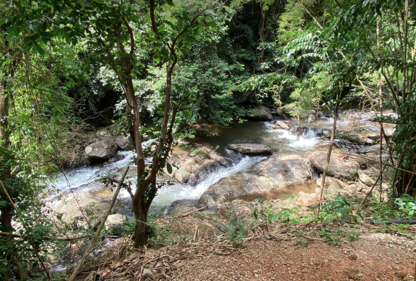 River stream Pala U